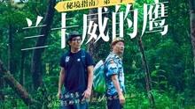 寻找丢失的婴儿
