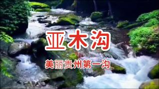破碎的动物图形