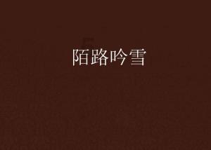 宜宾一金毛趴主人灵前守5天5夜，金毛这种犬类有哪些特点？