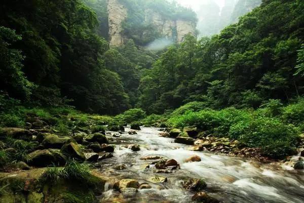 攀登高峰无敌版