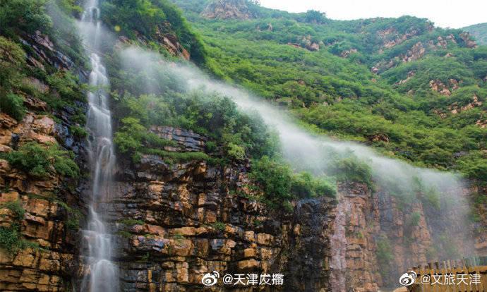 小猫钓鱼游戏龙王版有船