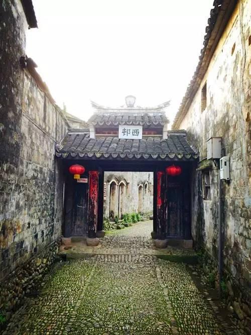 履职尽责展新貌 笃行实干谱新篇